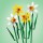 LEGO Botanicals 40747 Żonkile - 1202095 - zdjęcie 4